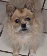 Welcome to Bear Witness